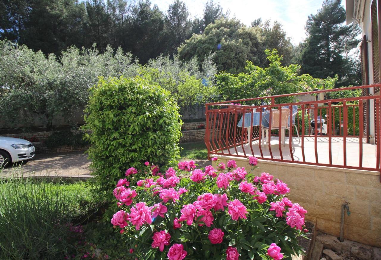 Apartment Ema Near City Center Poreč Eksteriør bilde